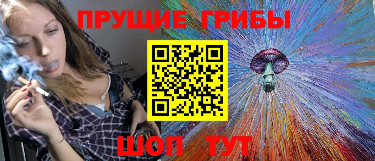 Псилоцибиновые грибы GOLDEN TEACHER Камышлов