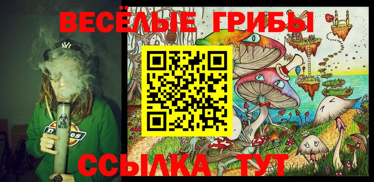 Камышлов  закладки  Вход с VPN  Псилоцибиновые грибы ЛСД 